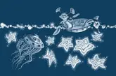 Иллюстрация к книге А. Усачёва «Звёздная книга», издательство «Азбука», 2015 г.