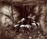 Стрекоза. 2002. 50×42. Бумага, тушь, перо